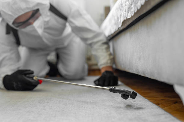 Professional Bed Bug Control technician working in Irvington, KY